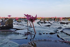 Source: Barbora Klejchová, MENDELU