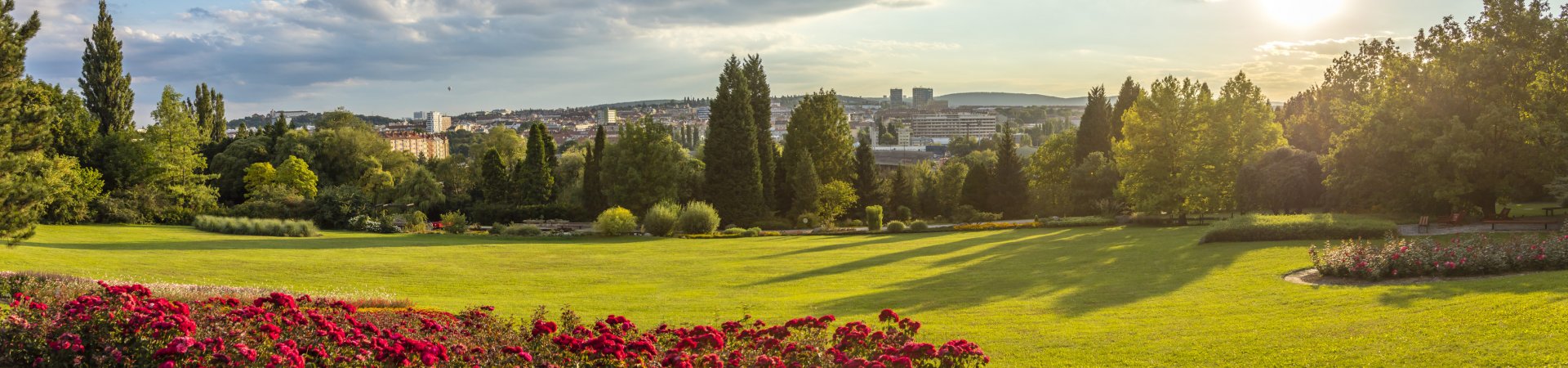 International Master of Horticulture Science