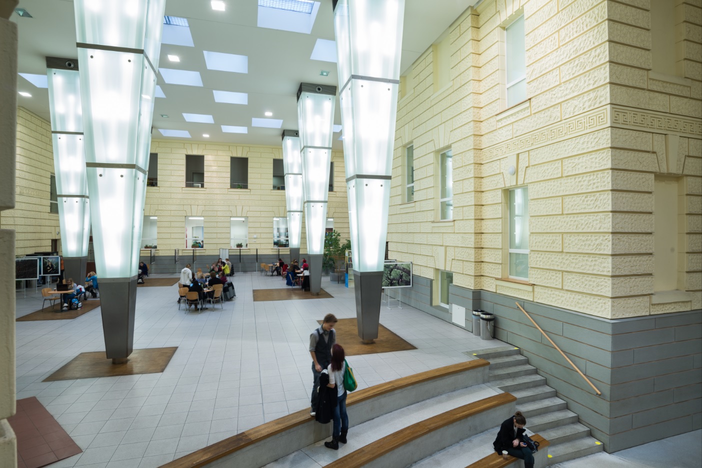 MASARYK INSTITUTE OF ADVANCED STUDIES visual data 6